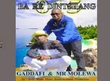 Gaddafi and Mr Molewa – Ba Re Dintshang