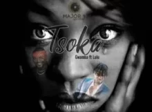 Gwamba Ft Lulu – Tsoka