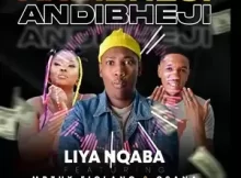 Liya Nqaba – Andibheji Csana