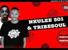 Nkulee 501 & TribeSoul – Untitled