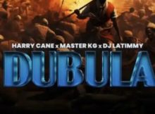 Dubala Remix by Harry Cane ft Master KG