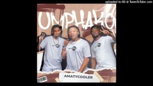 AmaTycooler – iBhanoyi