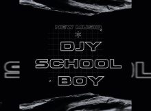 Djy School Boy & Stebas707 – Peace (Sgija Mix)