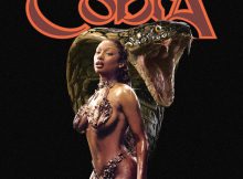 MEGAN THEE STALLION – COBRA