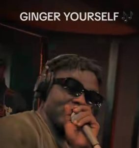 Voltageofhype – Ginger Yourself