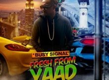 Busy Signal – Free Up