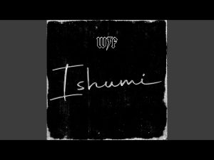 WTF (What The Funk) - Ishumi