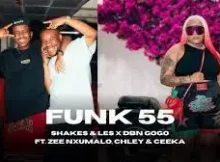 Shakes & Les X DBN Gogo – Funk 55