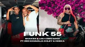 Shakes & Les X DBN Gogo – Funk 55