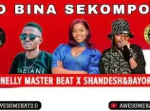 071Nelly masterbeat x Shandesh & Bayor97 – O bina Sekompo