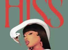 Megan Thee Stallion Hiss Mp3 Download