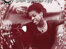 Evelyn “Champagne” King* – Shame / Nobody Knows