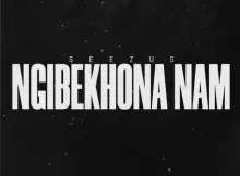 SeeZus Beats – ‎Ngibekhona Nam