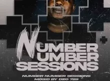 Dzo 729 – Number Number Session 10