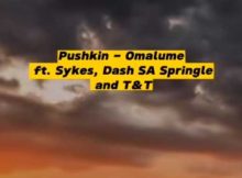 Pushkin ft Sykes, Dash SA Springle & T&T – Omalume