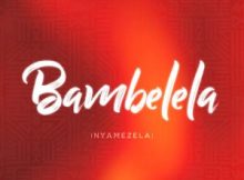 Macfowlen - Bambelela (Nyamezela) ft. Dj Stokie, & Ntokzin, TBO, Moscow on Keys & Rams Da Violinist (Prod. Ntokzin, Macfowlen & DJ Stokie)