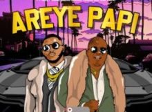 The Lowkeys – Areye Papi Ft. Jelly Babie, Tshego Dee, Tskay de Musiq & Ocean Biller