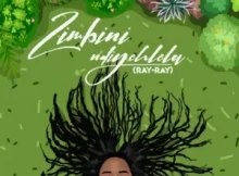 Zimbini – Yitshoni