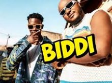 Deejay LL – Biddi ft. Mudra D Viral