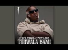 Tshwala – bami full song