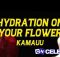 KamauuGarden (Lyrics) Hydration On Your Flower Blossom For Me Garden Song