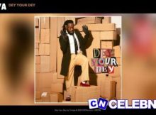 Timaya – Dey Your Dey